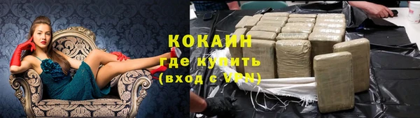 стафф Богданович