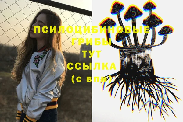 стафф Богданович