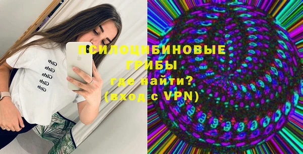 ГАЛЛЮЦИНОГЕННЫЕ ГРИБЫ Богородск