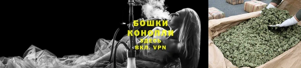2c-b Ельня