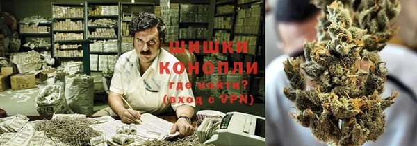 стафф Богданович