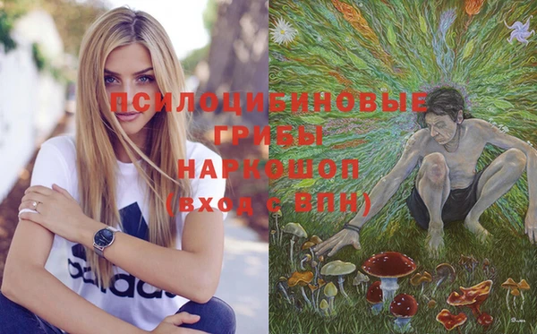 не бодяженный Богородицк
