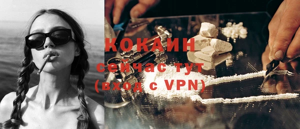 стафф Богданович