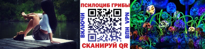Псилоцибиновые грибы прущие грибы  omg как войти  Озёрск 