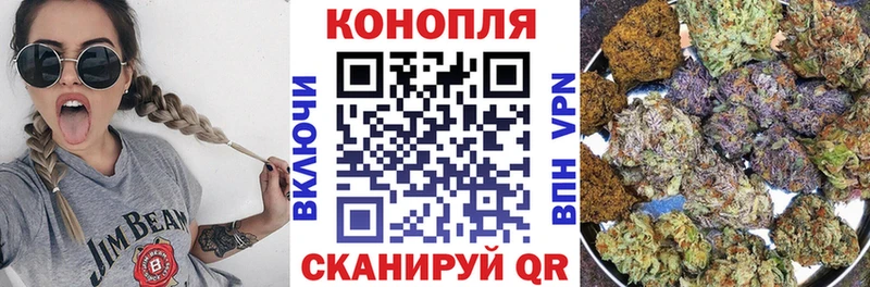Канабис конопля Озёрск